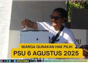 Info Penting Pencoblosan Hingga Perhitungan Suara PSU Papua