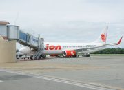 16 Bandara di Papua Terdampak Kabut Asap Karhutla