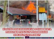 Panglima TNI Diminta Usut Penembakan di Asmat