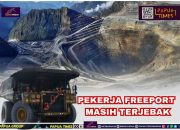 Freeport Terus Berupaya Selamatkan 7 Pekerjanya