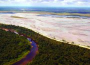 WALHI : Perpanjangan Operasi Freeport, Perpanjang Krisis dan Derita di Tanah Papua