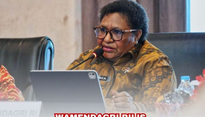 Kemendagri Rilis Kinerja 6 Provinsi di Tanah Papua