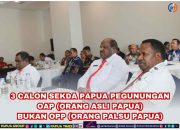 3 Calon Sekda Papua Pegunungan Orang Asli Papua