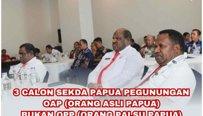 3 Calon Sekda Papua Pegunungan Orang Asli Papua