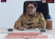 Stok Daging Sapi dan Kambing di Papua Aman