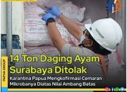 Karantina Papua Tolak 14 Ton Daging Ayam Asal Surabaya