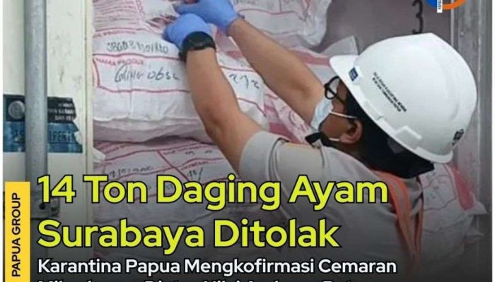 Karantina Papua Tolak 14 Ton Daging Ayam Asal Surabaya