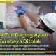 Karantina Papua Tolak 14 Ton Daging Ayam Asal Surabaya