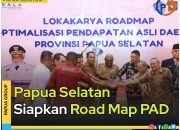 Papua Selatan Siapkan Road Map PAD