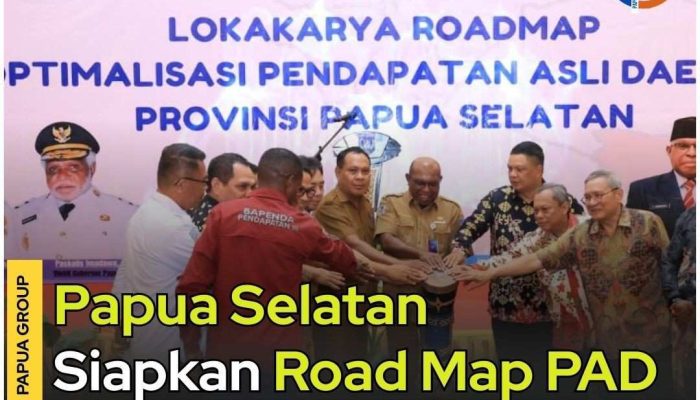 Papua Selatan Siapkan Road Map PAD