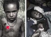 Warga Sipil Tewas di Puncak, Komnas HAM Didesak Bentuk TPF