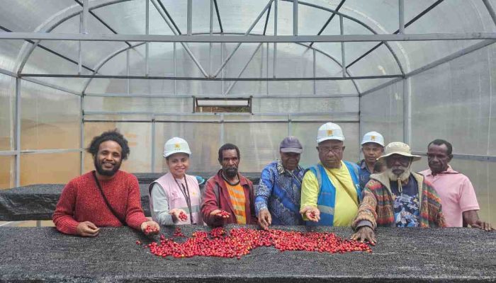 Kopi Tiom Tembus Pasar Nasional Lewat Program PLN Peduli