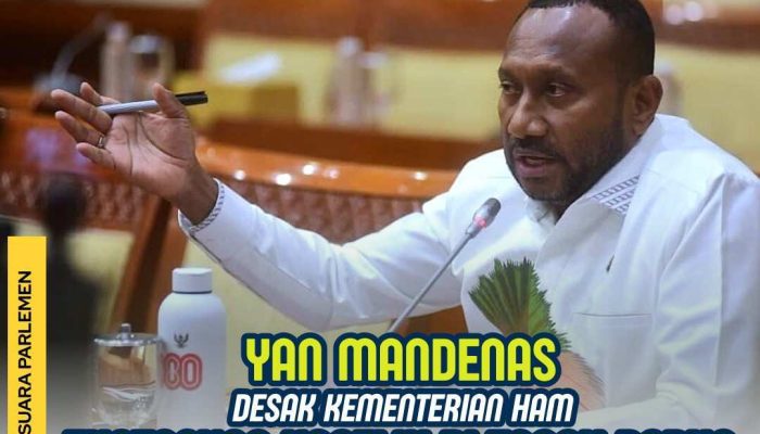 Mandenas Desak KemenHAM Ambil Tindakan Nyata Selesaikan Konflik Papua