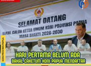 Belum Ada Pendaftar,  Ini Persyaratan Calon Ketua Umum KONI Papua