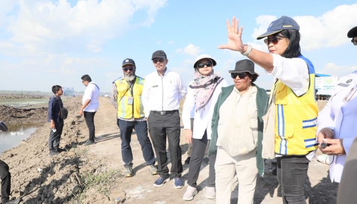 Wamendagri dan Wamen PU Tinjau Infrastruktur Strategis di Papua Selatan