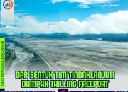 DPR RI Bentuk Tim Tinjau Dampak Tailling Freeport