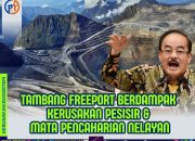 Anggota DPR-RI Soroti Dampak Tambang Bawah Tanah Freeport