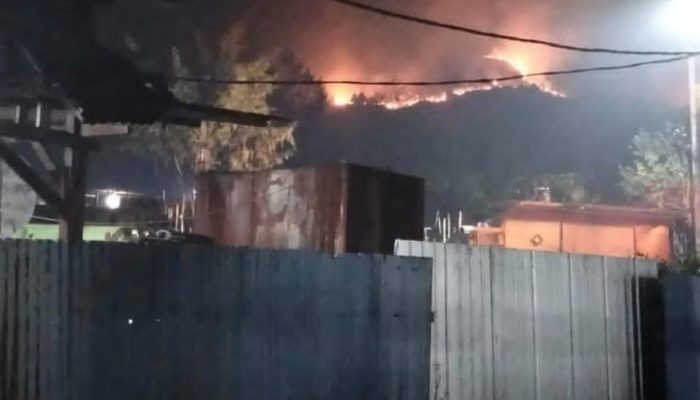 Lebih dari 3.000 Titik Panas Terdeteksi di Papua