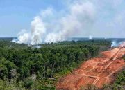 WALHI: Papua Dikepung Api di Tengah Ekspansi Proyek Strategis Nasional