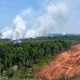 WALHI: Papua Dikepung Api di Tengah Ekspansi Proyek Strategis Nasional