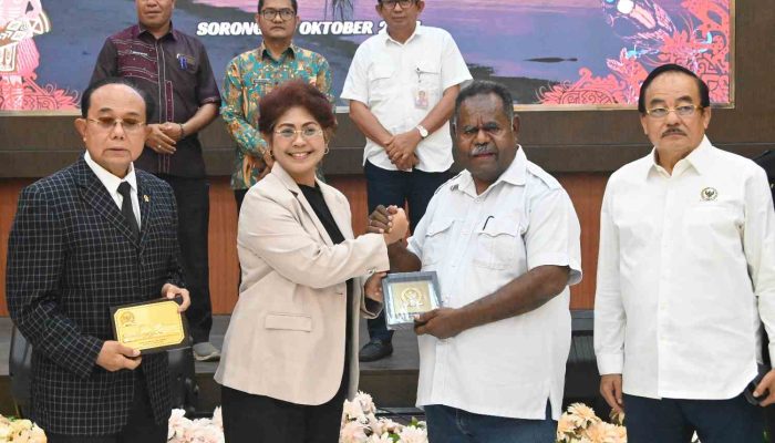 Kewenangan Asimetris Menjawab Tantangan Daerah Kepulauan