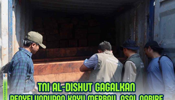 TNI AL dan Dishut Gagalkan Penyelundupan Kayu Merbau dari Nabire