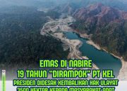 Emas di Nabire: PT KEL Ditolak Sejak 2007, Presiden Didesak Kembalikan Tanah Adat