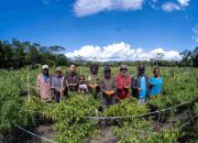 GPIPS Sulampua 2026: Papua Perkuat Konektivitas dan Rantai Pasok