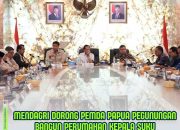 Mendagri Dorong Pemda Papua Pegunungan Bangun Perumahan
